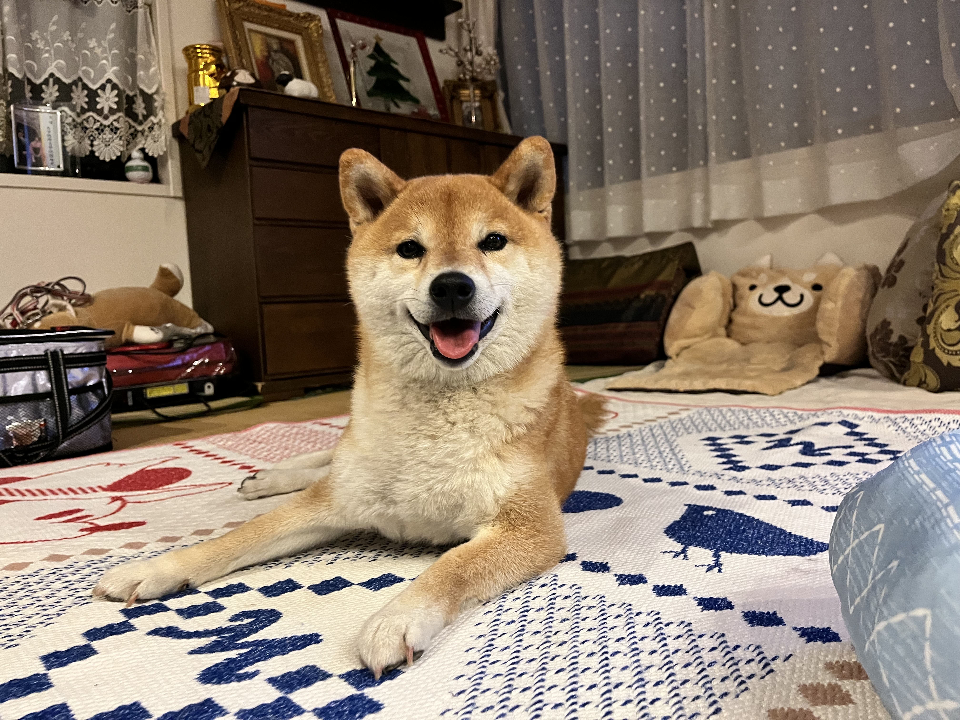 岸田さんの写真